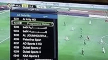 مجانية بالكامل.. تردد قناة الجزائرية الأرضية لمتابعة مباراة المغرب في نهائي أمم إفريقيا 2026